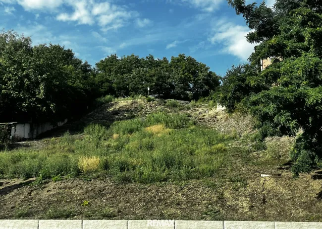 Bauland in Grieskirchen – 1.312 m² ohne Bauzwang - Titelbild