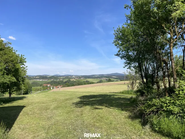 Landwirtschaftlicher Nutzgrund mit ca. 5 Ha - kleine Hofstatt mit Nebengebäuden - Bild