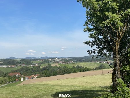 Landwirtschaftlicher Nutzgrund mit ca. 5 Ha - kleine Hofstatt mit Nebengebäuden