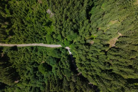 180 ha Forstbesitz - Eigenjagd Obersteiermark