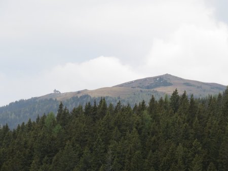 5 ha Waldfläche I Knittelfeld Umgebung