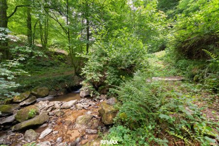 Ruhige Grundstückslage mit Altbestand – Naturidylle in Urfahr