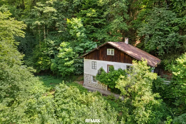 Ruhige Grundstückslage mit Altbestand – Naturidylle in Urfahr - Titelbild