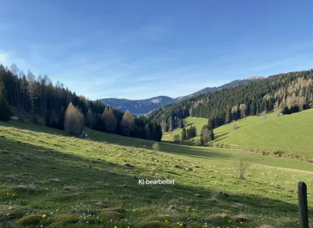 15,6 ha Huttweide I Knittelfeld