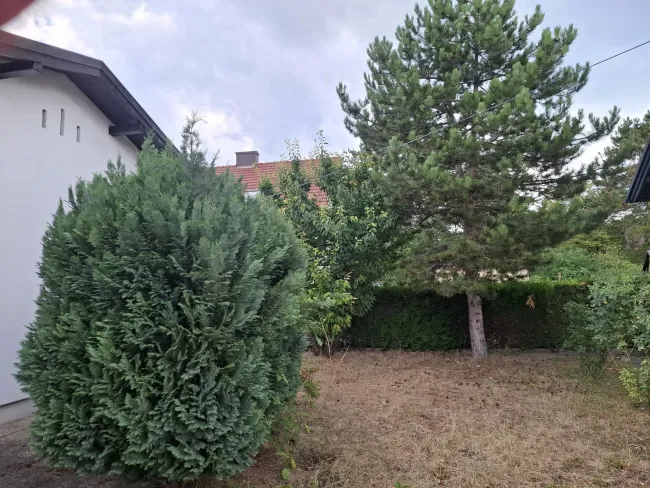 Grund Garten.jpeg