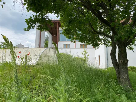 Ansicht vom großen Garten2.jpg