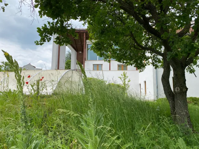 Ansicht vom großen Garten2.jpg
