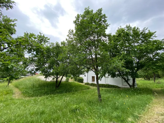 großer Garten vorderer Teil.jpg