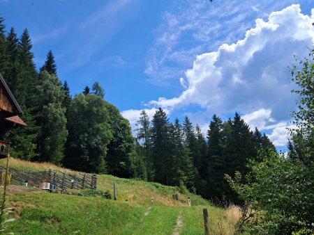 20250801_120440.jpg