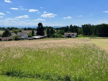 Zauberhaftes Baugrundstück nähe Wildon - ideal für Bauträger