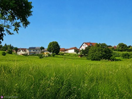 Sonniges Baugrundstück in Leobendorf – Ihr Platz für die Zukunft