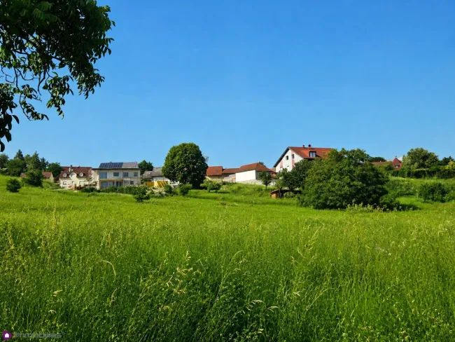 Sonniges Baugrundstück in Leobendorf – Ihr Platz für die Zukunft - Titelbild