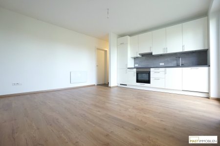 PROVISIONSFREI --- Beeindruckend aufgeteilte 2 Zimmer Garten Wohnung inkl. EWE Einbauküche in Pixendorf