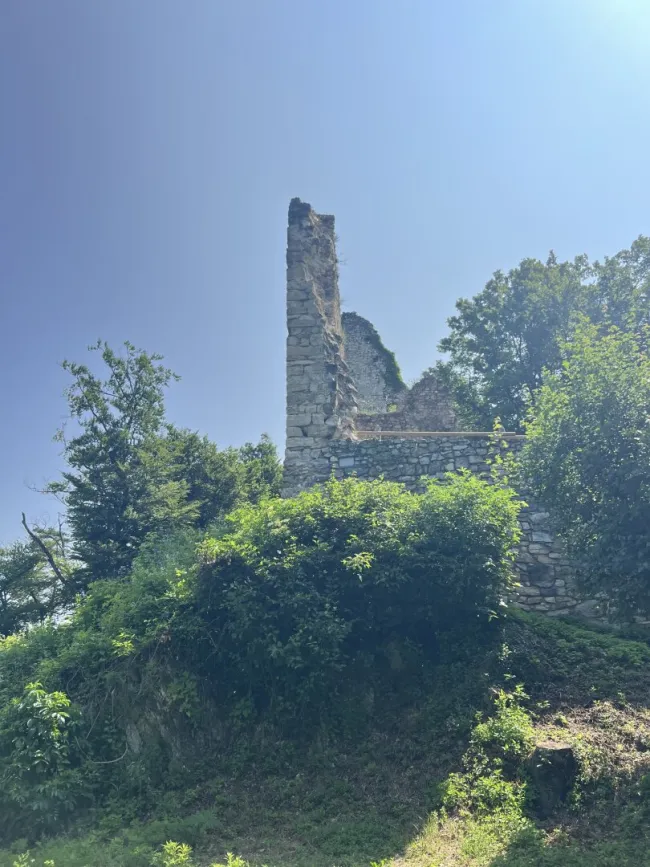Historische Burgruine als Tourismushotspot - Bild