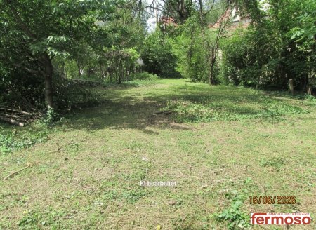 Traumgrundstück 696m² in 1110 Wien – Perfekt für Ihr Eigenheim! Sehr grün und mit einem teilweisen sehr alten Baumbestand am Grundstücksrand