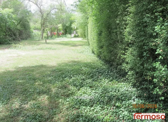 Traumgrundstück 696m² in 1110 Wien – Perfekt für Ihr Eigenheim! Sehr grün und mit einem teilweisen sehr alten Baumbestand am Grundstücksrand - Bild