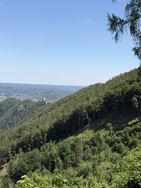 170 ha Eigenjagd mit hochwertigem Wirtschaftswald
