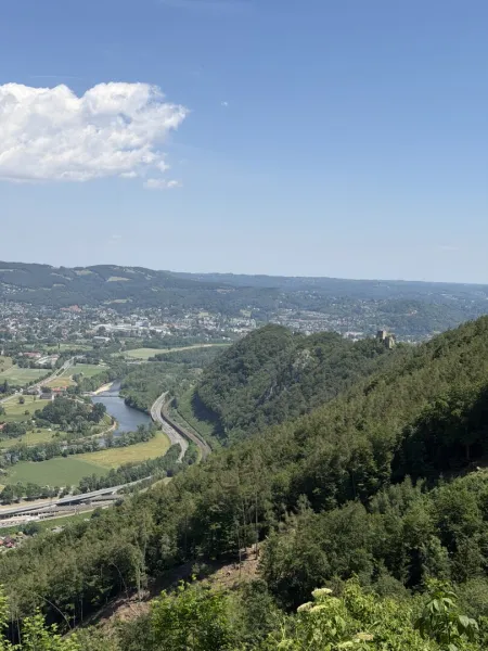 170 ha Eigenjagd mit hochwertigem Wirtschaftswald