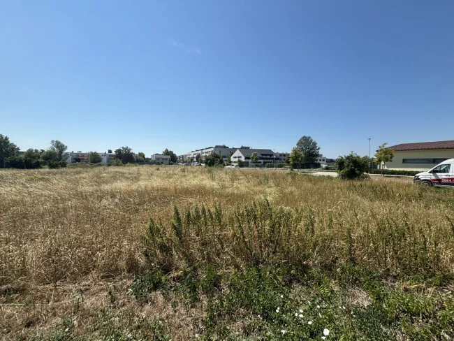 Eckgrundstück in Neusiedl am See – ca. 758 m² - Titelbild