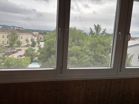 Familienhit mit Ausblick!
