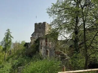 Burgruine in Stadtnähe – Investment mit außergewöhnlichem Potenzial - Bild