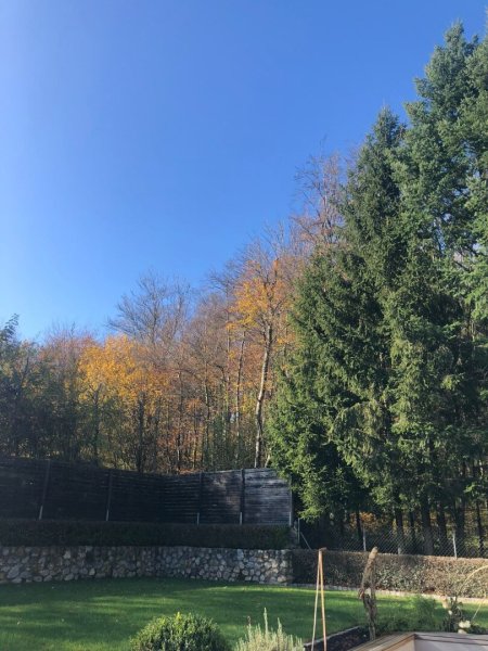 Traumhaus in absoluter Ruhelage