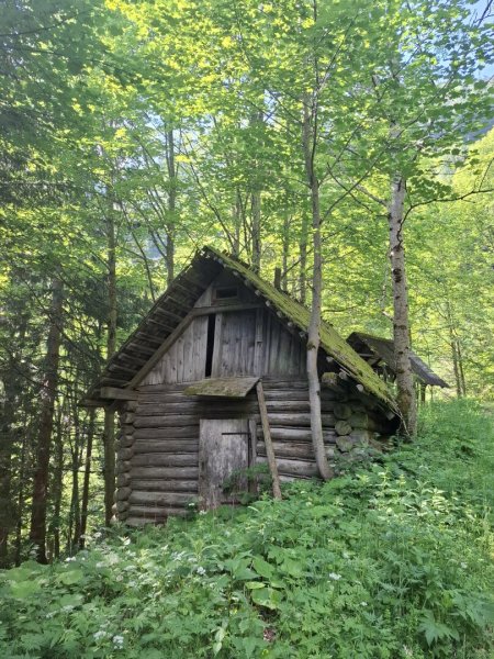 33 ha Naturidylle – Waldbesitz mit Fischteich und Hütte