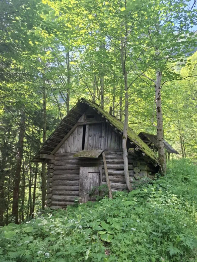 33 ha Naturidylle – Waldbesitz mit Fischteich und Hütte - Titelbild