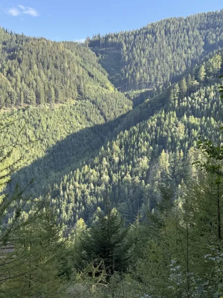 32 ha Wald mit Fischteich und Hütte