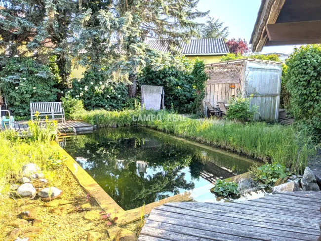 CAMPO-HAUS: VILLA für Wohnen, Arbeiten und Freizeit vor den Toren Wiens - Bild
