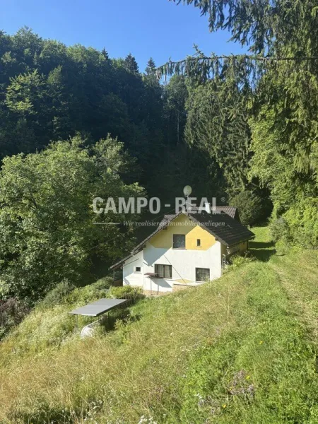 WOHNHAUS im abgeschiedenen Grünlandbereich im Pielachtal - Natur pur - Titelbild