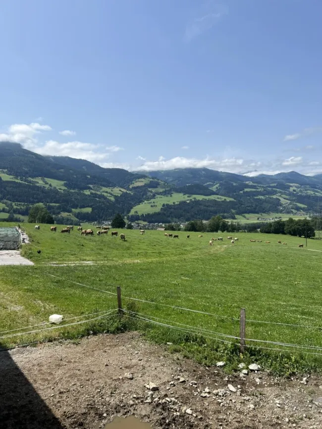 Ansicht