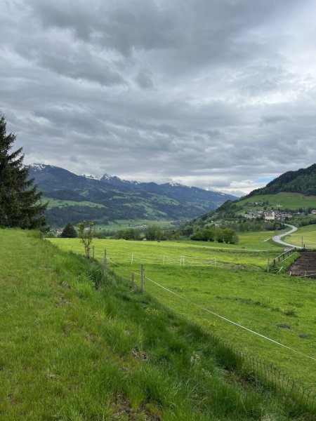 Wiesenflächen ca. 7 ha I intensiv nutzbar