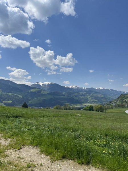 Ansicht
