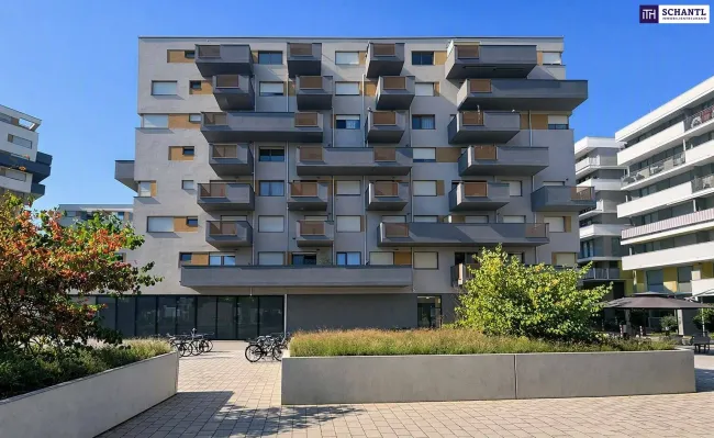 Urban Chic im 22.: Dein neues City‑Nest – kompakt, modern, sonnig - Titelbild