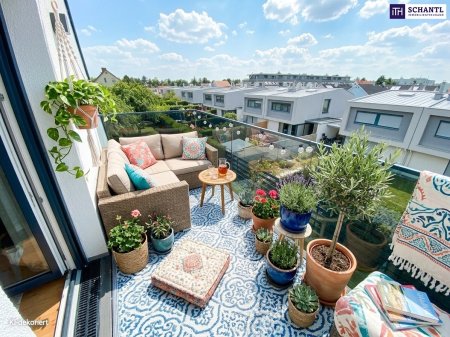 1 Zimmer mit Klimaanlage und großer Terrasse | Ruhelage | Badeteich Hirschstetten in Fußnähe
