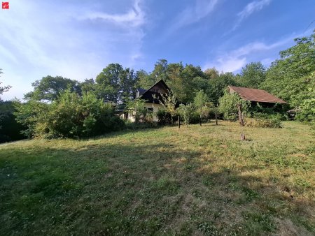 Grundstück mit Altbestand – 2.432 m² Bauland & Holzhütte