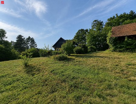 Grundstück mit Altbestand – 2.432 m² Bauland & Holzhütte