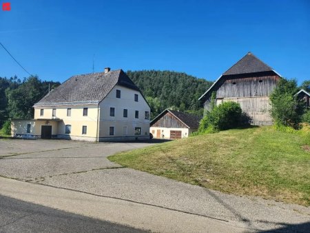 18 ha Landwirtschaft in Top-Lage – Eben, Arrondiert & mit Hofstelle