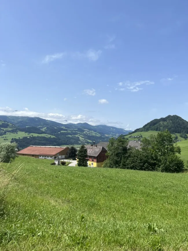 Ansicht Wiese