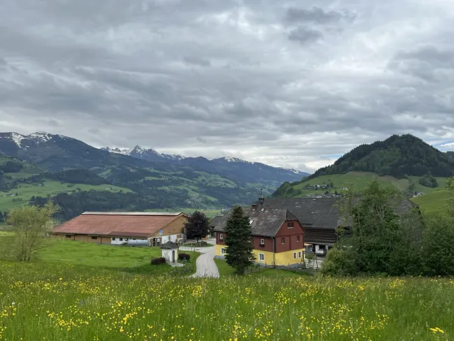Ansicht Wiese