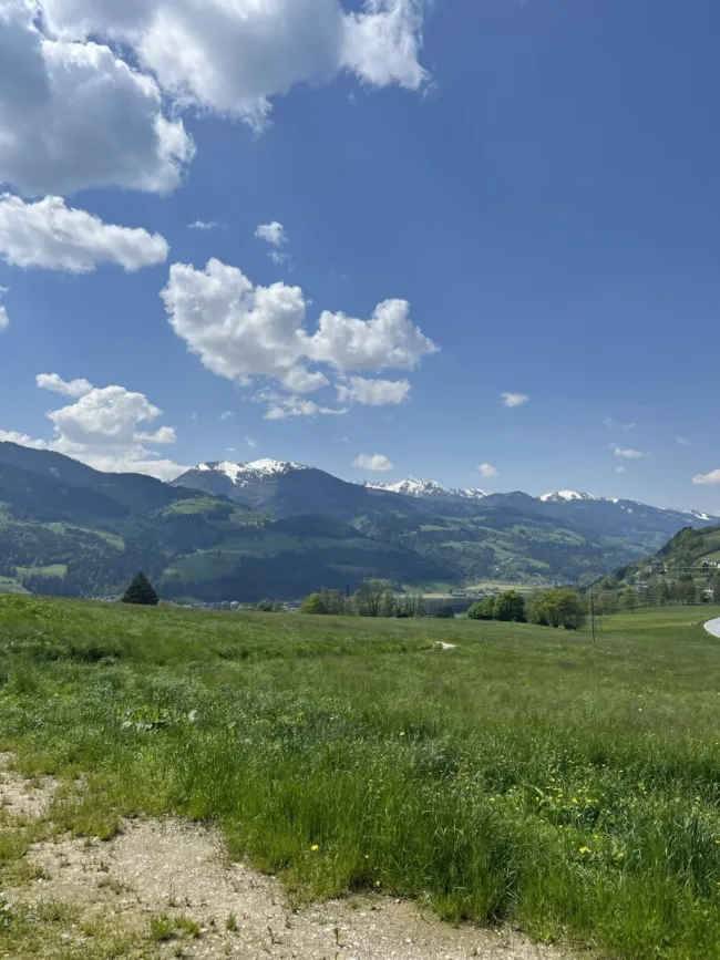 Ansicht
