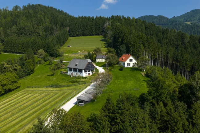 10 ha Reiterhof mit Reitplatz und Panoramalage - Bild