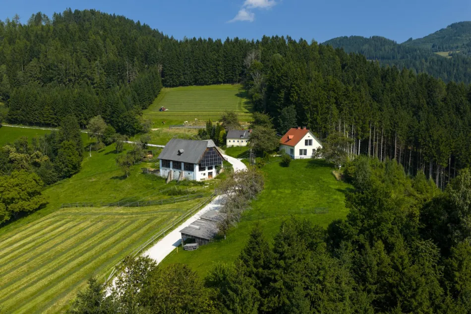 10 ha Reiterhof mit Reitplatz und Panoramalage - Bild