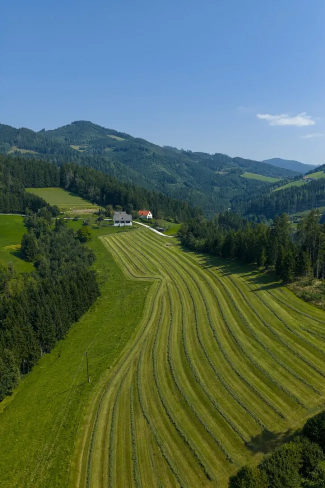 Wiesenflächen