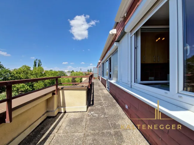 Terrasse ca. 24,46 m², vom Wohnzimmer und Schlafzimmer aus begehbar, westlich ausgerichtet