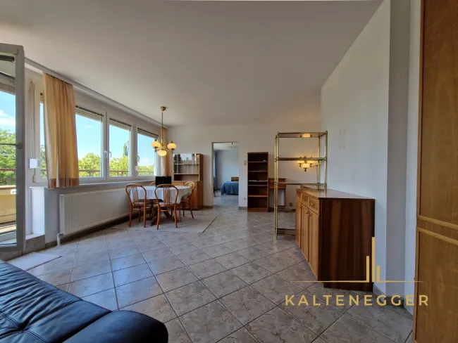 Wohnzimmer ca. 25,90 m² mit Ausgang auf die Terrasse