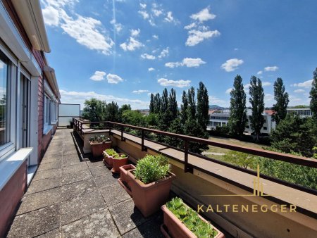 Terrasse ca. 24,46 m², vom Wohnzimmer und Schlafzimmer aus begehbar, westlich ausgerichtet