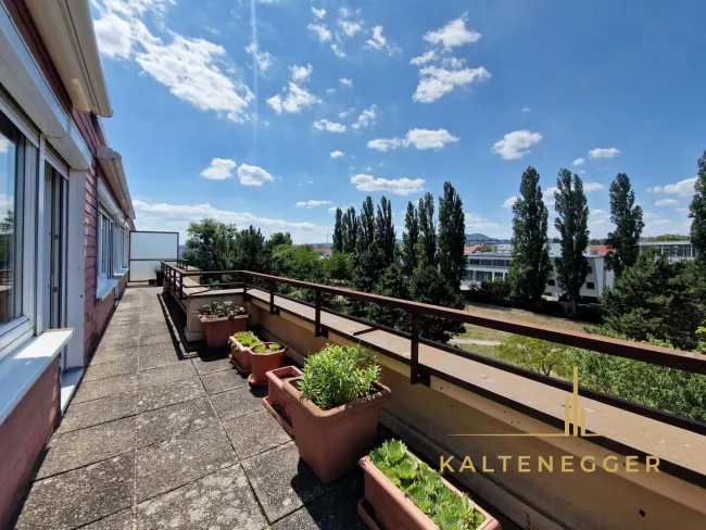 Schlafzimmer ca. 18,44 m² mit Ausgang auf die Terrasse