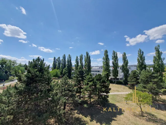 Blick von der Terrasse aus auf die grüne Landschaft